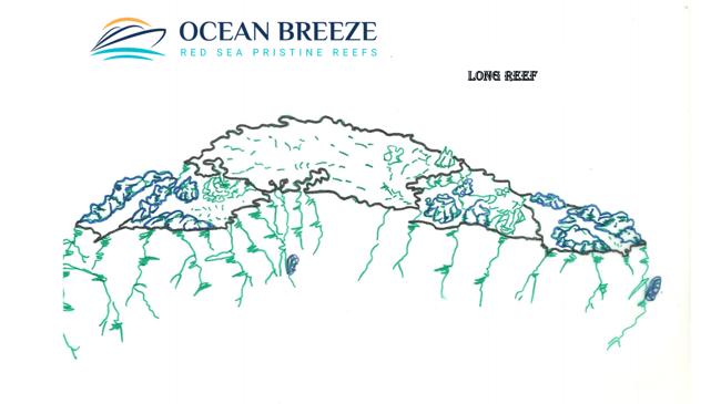 Long South Reef